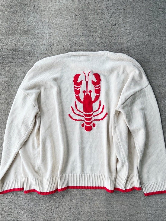 T.J.Maxx Sweaters - Luna x Sol Viral TJ Maxx lobster cardigan sweater beach boho coastal knit top